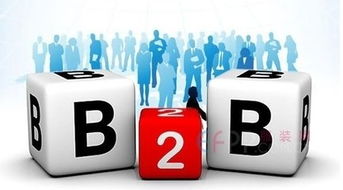 B2B电子商务 商家首选销售模式下的蓝海机遇与平台建设之道