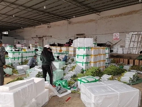 火力全开 红河州州级以上农业重点龙头企业100%复工复产，助力农副产品稳产保供