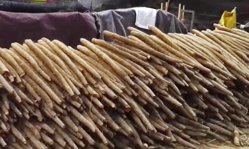 四川春节前农副产品交易繁忙，市民“菜篮子”拎得稳