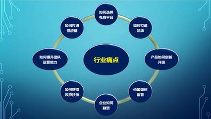跨境电商经营管理研修项目中的电子商务平台开发建设